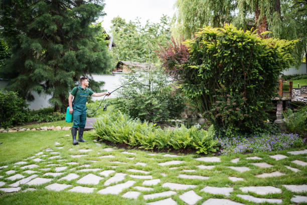 Pest Prevention Services in North Bellport, NY