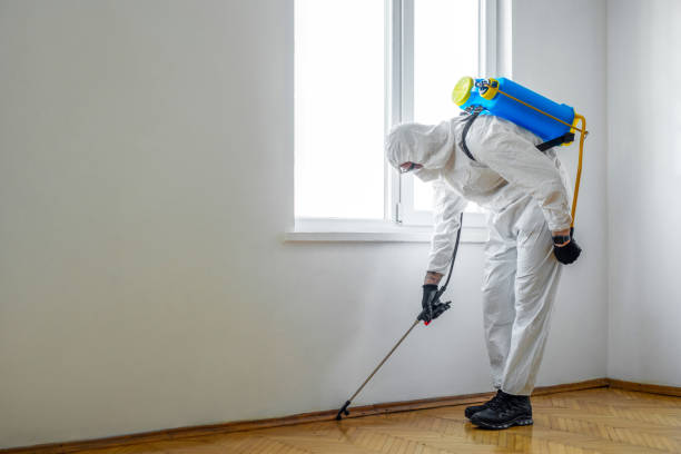 Best Residential Pest Control  in North Bellport, NY
