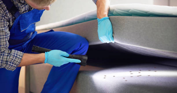 Trusted North Bellport, NY Pest Control Experts