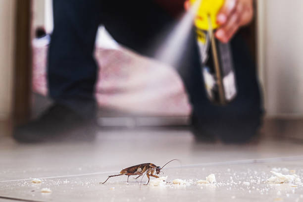 Best Commercial Pest Control Services  in North Bellport, NY